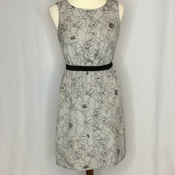 Ann Taylor Loft Gray & Black Floral A-Line Dress - Picture 1 of 8